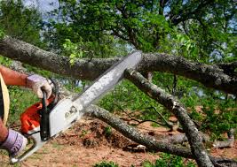 Best Lawn Grading and Leveling  in Randallstown, MD